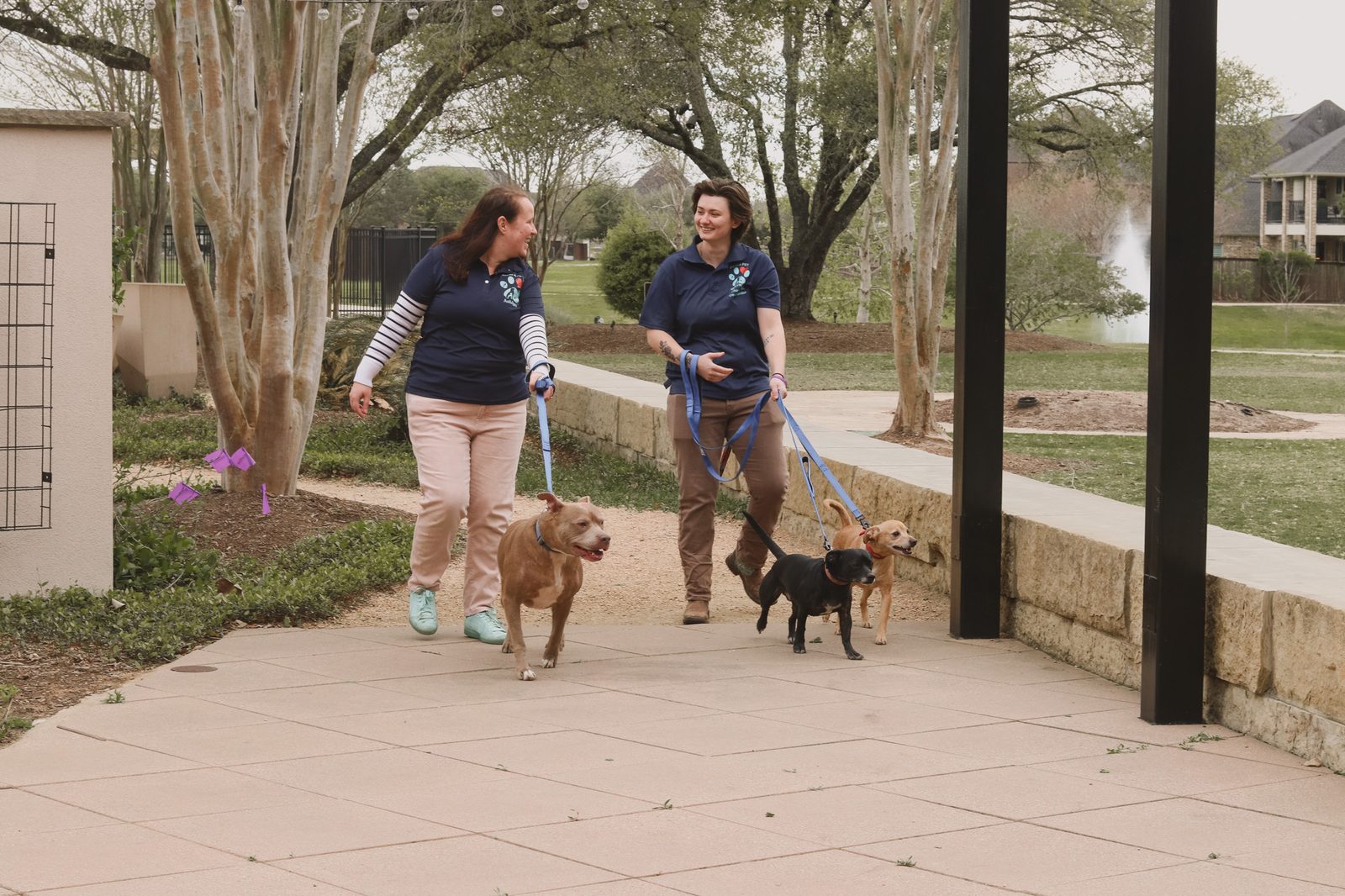 Ashlyn and Charley walking three dogs